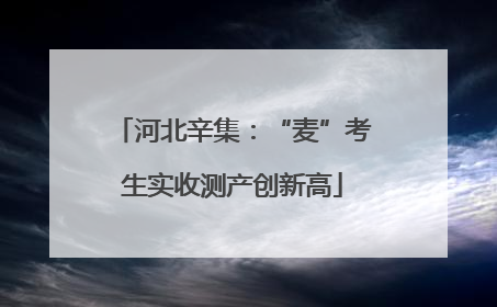 河北辛集：“麦”考生实收测产创新高