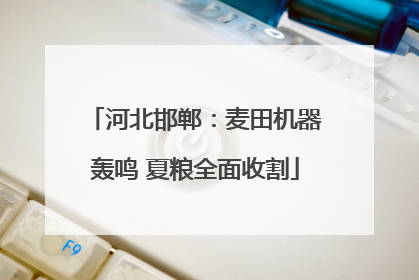 河北邯郸：麦田机器轰鸣 夏粮全面收割