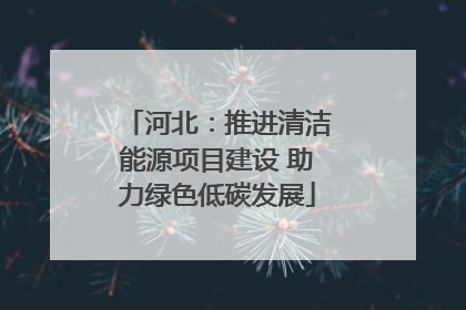 河北：推进清洁能源项目建设 助力绿色低碳发展