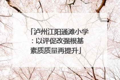 泸州江阳通滩小学：以评促改强根基 素质质量再提升