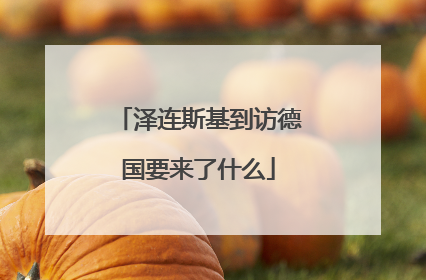 泽连斯基到访德国要来了什么