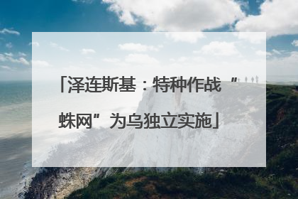 泽连斯基：特种作战“蛛网”为乌独立实施