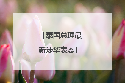 泰国总理最新涉华表态