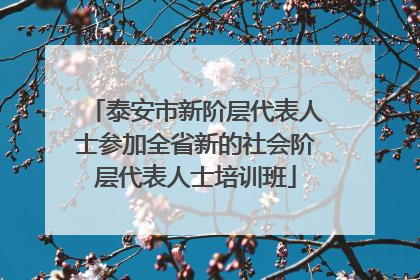 泰安市新阶层代表人士参加全省新的社会阶层代表人士培训班
