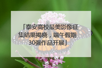 泰安高校最美影像征集结果揭晓，端午假期30强作品开展