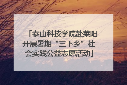 泰山科技学院赴莱阳开展暑期“三下乡”社会实践公益志愿活动
