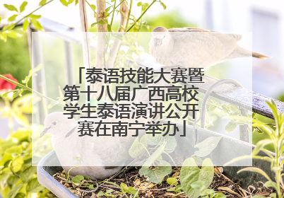 泰语技能大赛暨第十八届广西高校学生泰语演讲公开赛在南宁举办