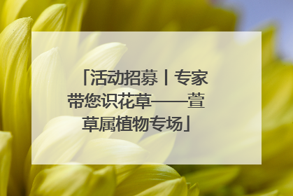 活动招募丨专家带您识花草——萱草属植物专场