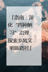 洛南：深化“四种陋习”治理 探索乡风文明新路径