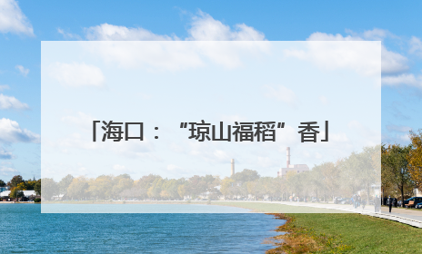 海口：“琼山福稻”香