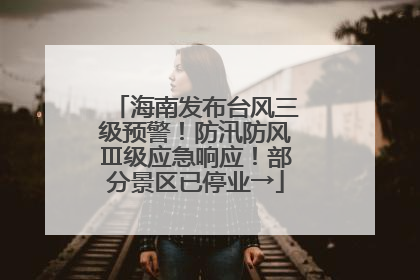 海南发布台风三级预警！防汛防风Ⅲ级应急响应！部分景区已停业→