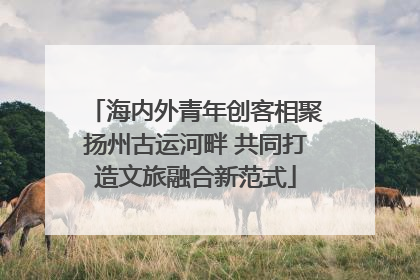 海内外青年创客相聚扬州古运河畔 共同打造文旅融合新范式