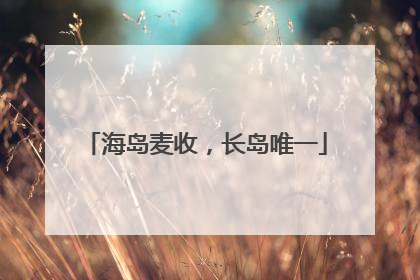 海岛麦收，长岛唯一