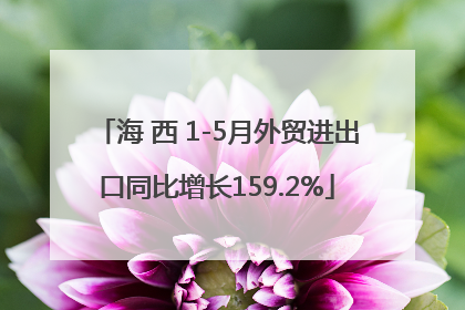海 西 1-5月外贸进出口同比增长159.2%