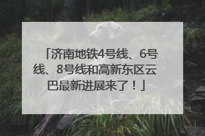 济南地铁4号线、6号线、8号线和高新东区云巴最新进展来了！