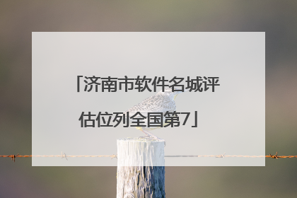 济南市软件名城评估位列全国第7