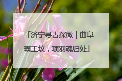 济宁寻古探微｜曲阜霸王坟，项羽魂归处