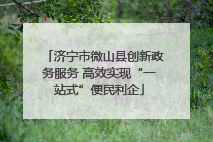 济宁市微山县创新政务服务 高效实现“一站式”便民利企