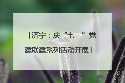 济宁：庆“七一”党建联建系列活动开展