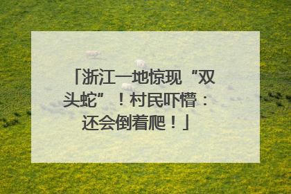 浙江一地惊现“双头蛇”！村民吓懵：还会倒着爬！