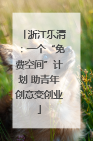 浙江乐清：一个“免费空间”计划 助青年创意变创业