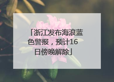 浙江发布海浪蓝色警报，预计16日傍晚解除