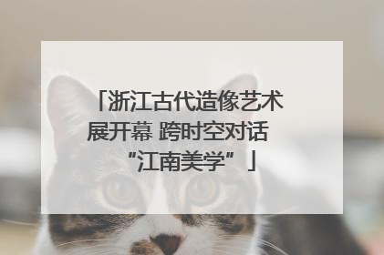 浙江古代造像艺术展开幕 跨时空对话“江南美学”