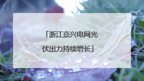 浙江嘉兴电网光伏出力持续增长