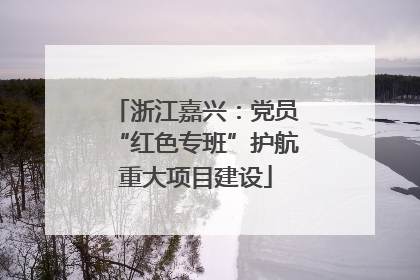 浙江嘉兴：党员“红色专班”护航重大项目建设