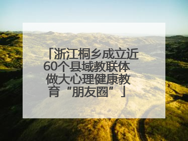 浙江桐乡成立近60个县域教联体 做大心理健康教育“朋友圈”
