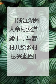 浙江湖州大余村索道竣工，与潞村共绘乡村振兴蓝图
