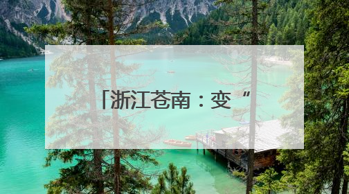 浙江苍南：变“一人一校”为“一团一校” 组团式督导督出学校发展加速度