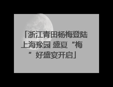 浙江青田杨梅登陆上海豫园 盛夏“梅”好盛宴开启
