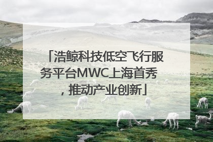 浩鲸科技低空飞行服务平台MWC上海首秀，推动产业创新