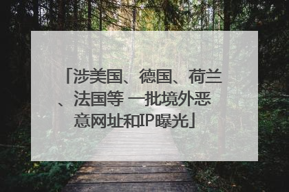 涉美国、德国、荷兰、法国等 一批境外恶意网址和IP曝光