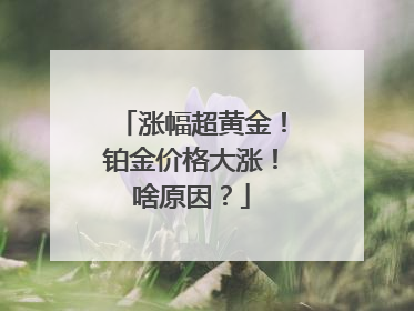 涨幅超黄金！铂金价格大涨！啥原因？