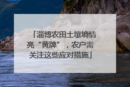 淄博农田土壤墒情亮“黄牌”，农户需关注这些应对措施