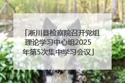 淅川县检察院召开党组理论学习中心组2025年第5次集中学习会议
