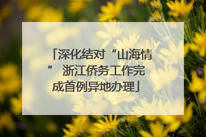 深化结对“山海情” 浙江侨务工作完成首例异地办理