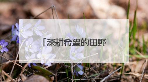 深耕希望的田野——“综合试验田”里庆丰收