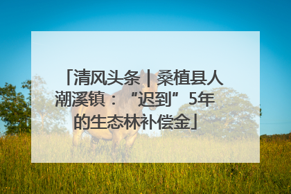 清风头条｜桑植县人潮溪镇：“迟到”5年的生态林补偿金