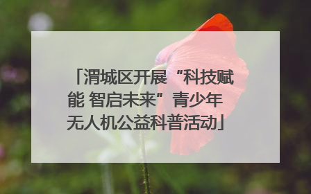 渭城区开展“科技赋能 智启未来”青少年无人机公益科普活动