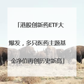 港股创新药ETF大爆发，多只医药主题基金净值再创历史新高