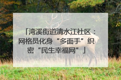 湾溪街道清水江社区：网格员化身“多面手”织密“民生幸福网”