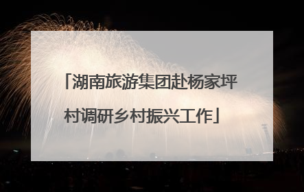 湖南旅游集团赴杨家坪村调研乡村振兴工作