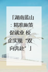 湖南蓝山：精准施策促就业 校企实现“双向奔赴”