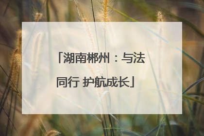 湖南郴州：与法同行 护航成长