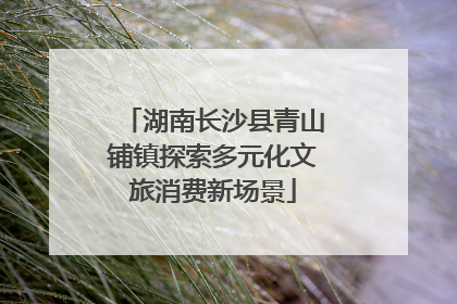 湖南长沙县青山铺镇探索多元化文旅消费新场景
