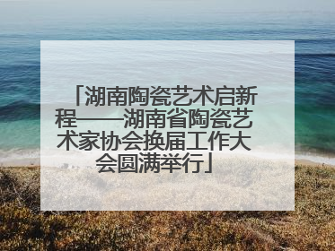 湖南陶瓷艺术启新程——湖南省陶瓷艺术家协会换届工作大会圆满举行