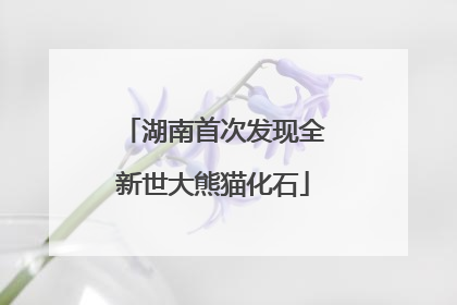 湖南首次发现全新世大熊猫化石